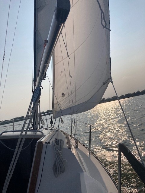 1985 S2 7.3 Cruiser/Racer Sailboat for sale in Council Blfs, IA - image 4 
